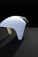 HONDA CBR900 FRONT MUDGUARD