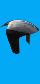 TZ250 FRONT MUDGUARD,