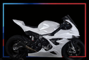 BMW S1000RR RACE BODYWORK 2024